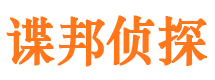 唐海市侦探公司